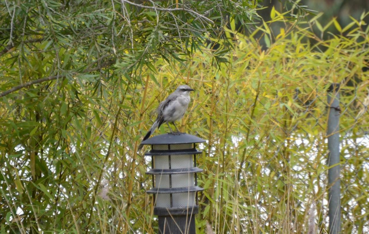 קיטו Ilatoa Lodge מראה חיצוני תמונה
